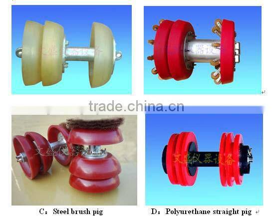 Electronic passing indicator for pigs
