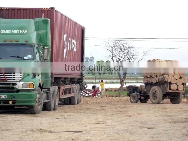 Bamboo Sticks High Quality