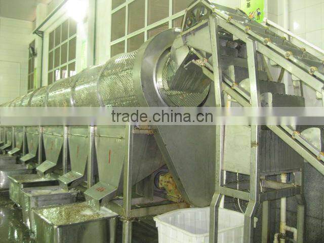 Canned Whole Button Mushroom