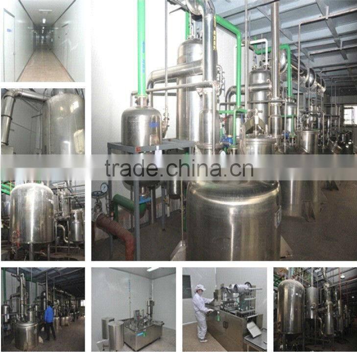 Supply Natural Cassia Nomame Extract With Flavanols 8%,16%