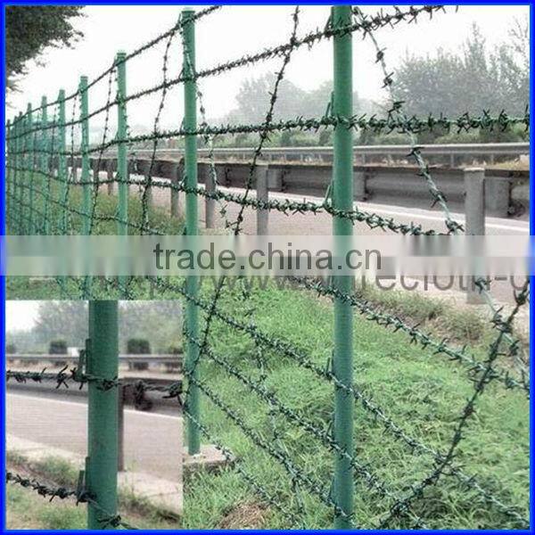hot dip galvanized double line twist barb wire for security