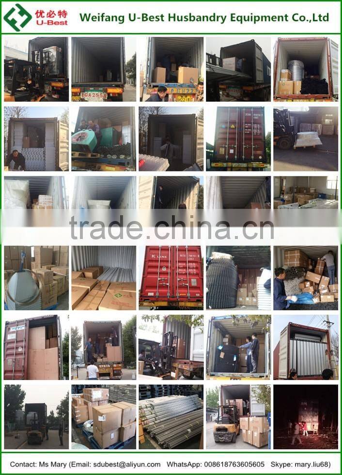 high quality low price industrial steel structure chicken coop