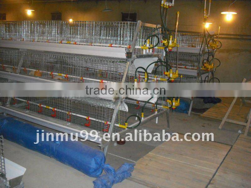 broiler chicken cage egg layer cage made in China