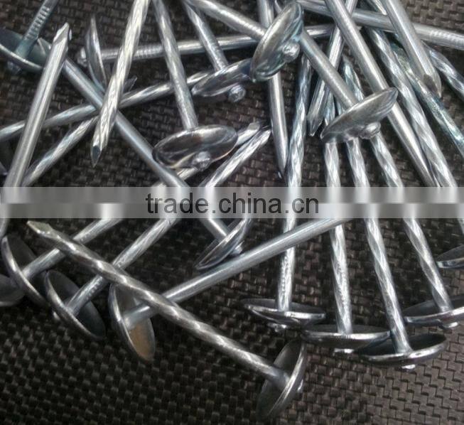 Galvanized foof nail umbrella head Zinc corrugated roofing nail