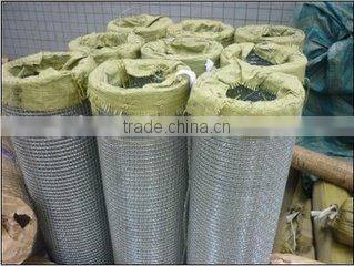 Anping wire construction curtain mesh crimped wire netting/crimped wire mesh/ crimped wire cloth