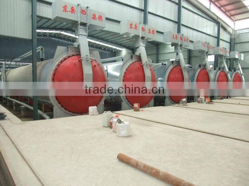 50000-300000m3 AAC brick production line for making light weight blocks (DONGYUE)