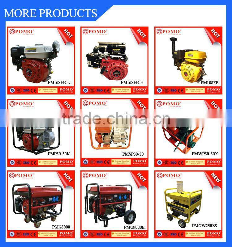 Low Fuel Consumption High Efficiency Portable Gasolin Generat,Dc Generat,Magnetic Motor Electric Generator