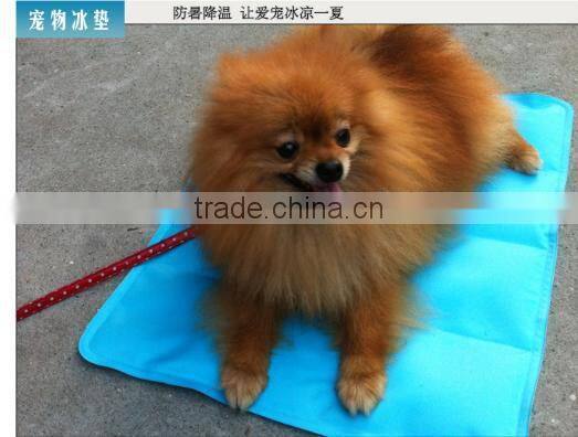 newest and eco-friendly ice pad , ice cushion for computer for pet