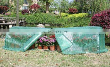 high tunnel greenhouse / polytunnel greenhouse / Tunnel Greenhouse