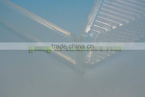 PLA transparent plastic sandwich box,100% biodegradable and compostable