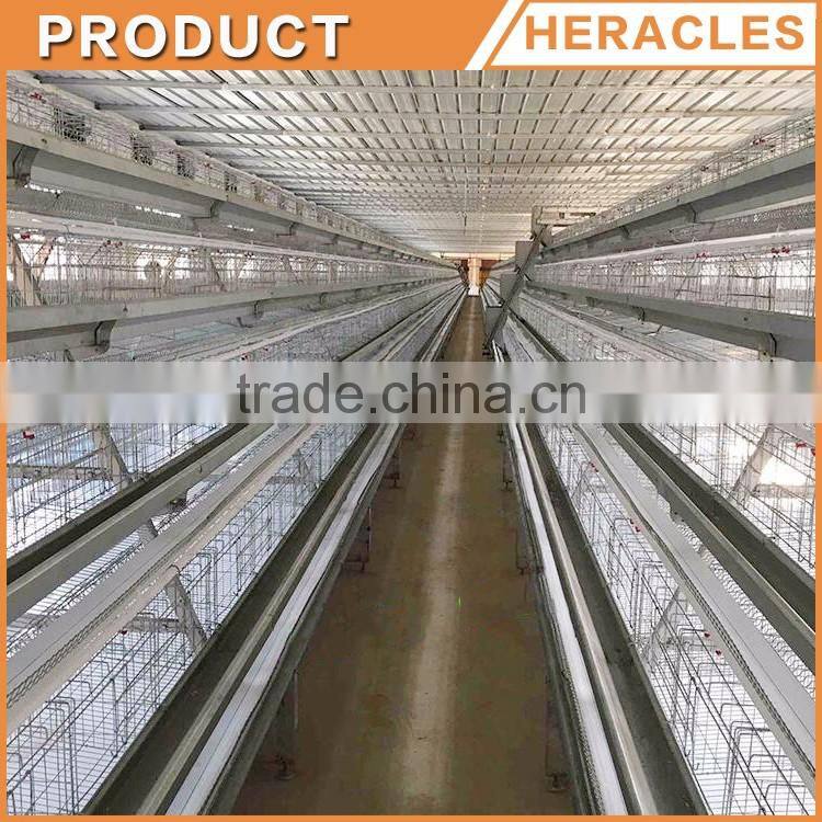 Shandong Heracles trade assurance equipment poultry A type laying hen cages for sale