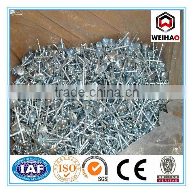ISO 9001 Electro Galvanized Mushroom & umbrella head roofing nails