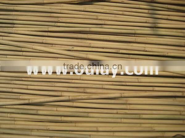 Natural dry bamboo canes poles sticks for gardening SUPPORTING