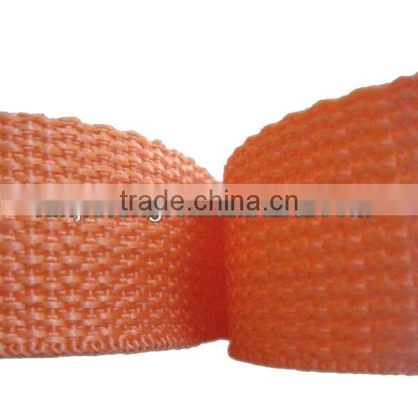 2016 Fashion PP Webbing Band