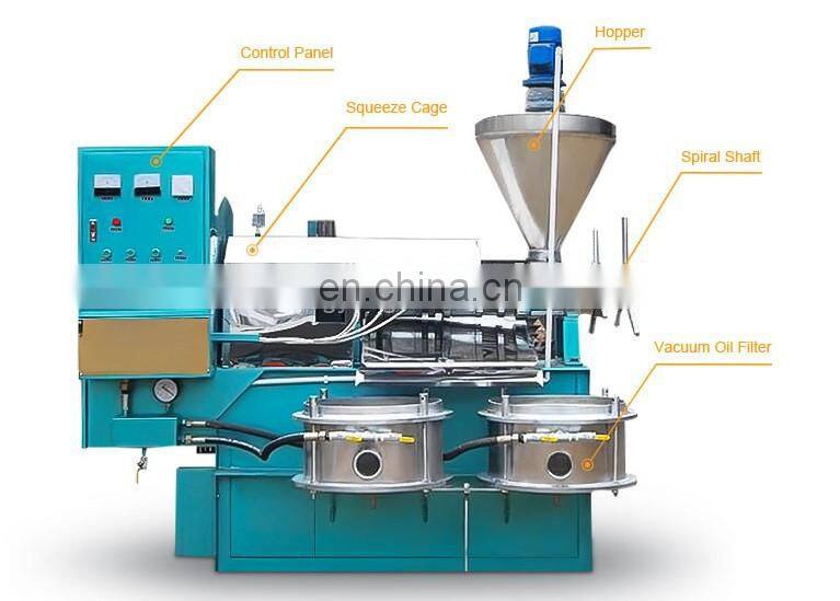 Commercial Small Cold Black Castor Seeds Peanut Coconut Olive Mini Oil Press Machine For Sale