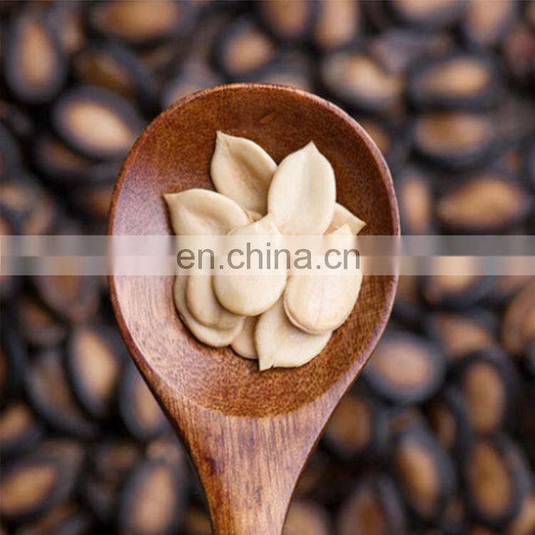 sunflower seed 361 china bigs sunflower seeds bulk