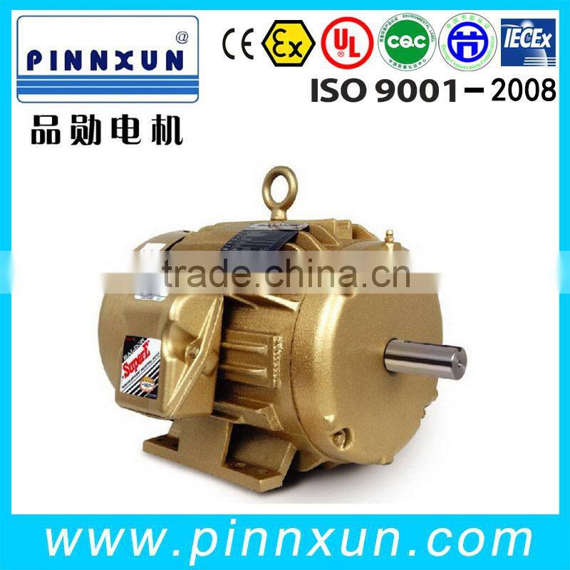 Special low price NEMA electric motor