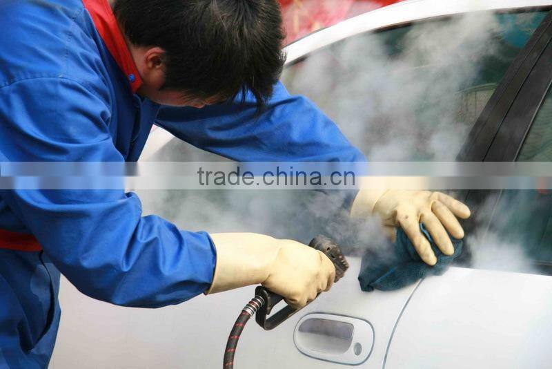 mobile steam car wash, 220V 6KW steam washer, steam car wash system