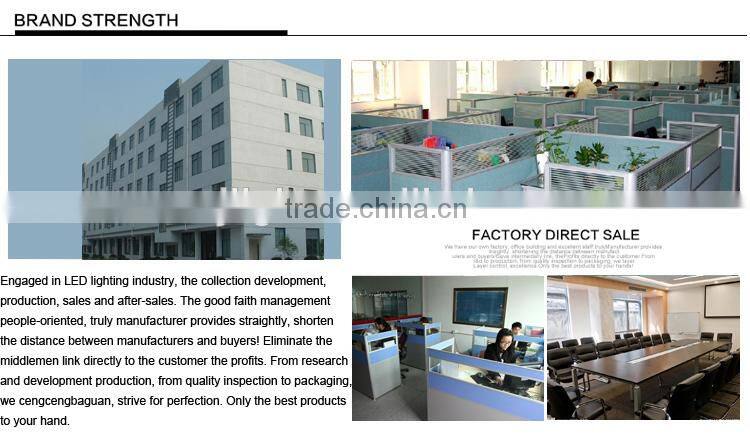 ce&rohs warranty 3 years ultra slim ip67 light fixture 12v 30w led flood light