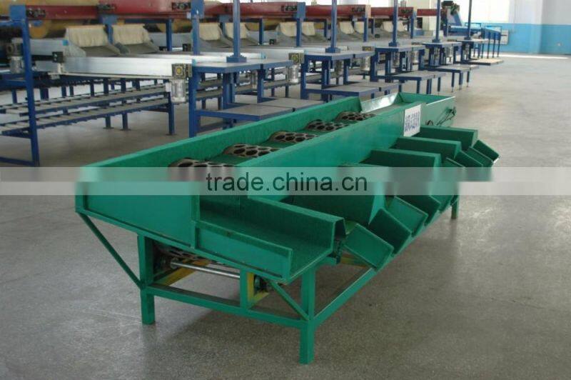 Electronic fruit sorting machine