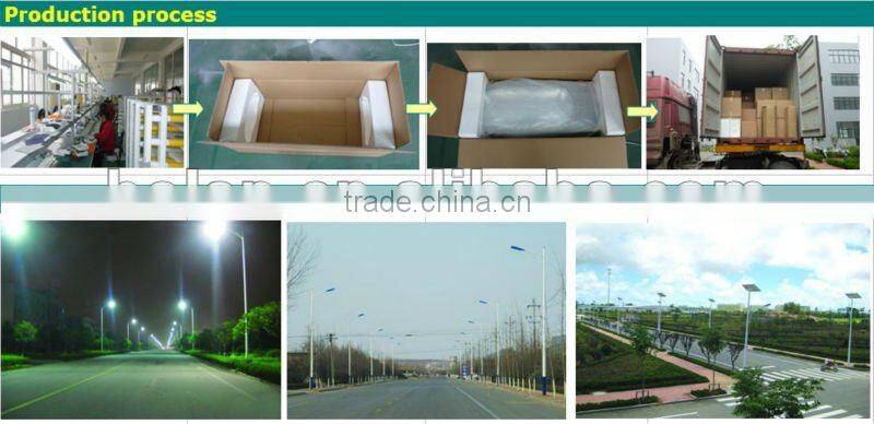 induction street light luminaires