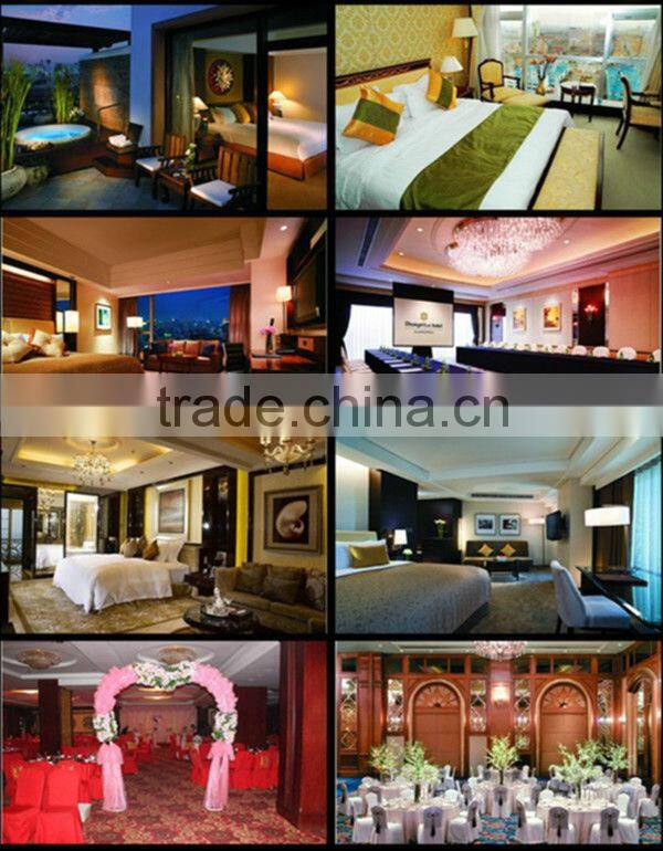 Trade assurance 100% polyester / micro fiber / down filling best hotel pillows