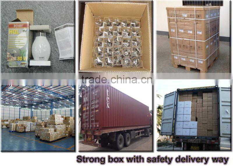 HPS lamp 600w grow lights bulb