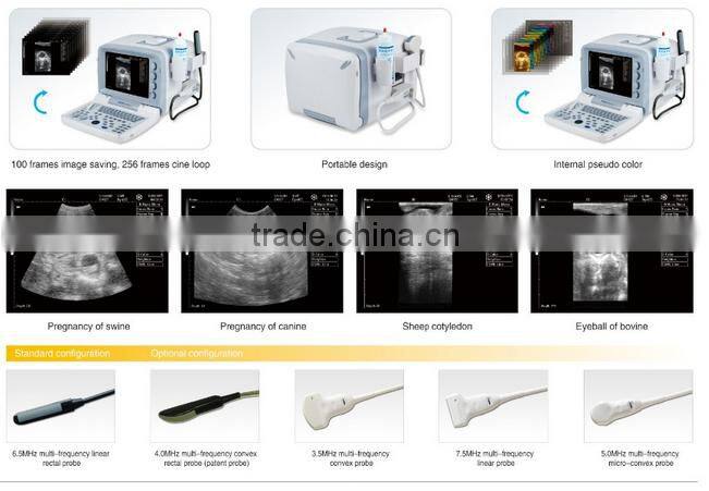 Rectal array probe Vet/Veterinary Ultrasound Machine /cheap vet ultrasound
