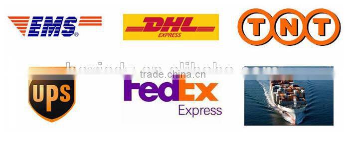 Plastic AAA 2AAA 3AAA 4AAA enclosed battery holder with switch battery holder case