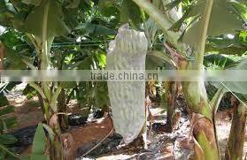 Pp Spunbond Non-woven Fabric For Banana Cover 30gsm