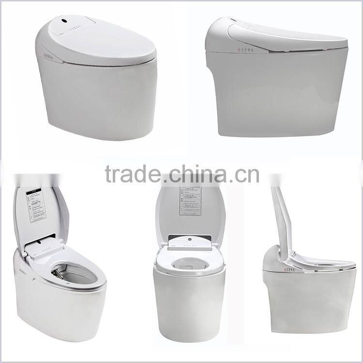 Professional supplier high quality toilet homes siphonic wc