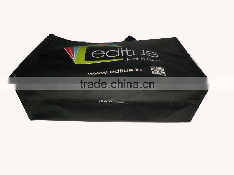 2013 new products handbag pp woven bag