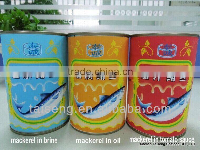 Canned Mackerel /Canned Fish