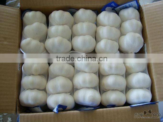 Chinese Best Garlic