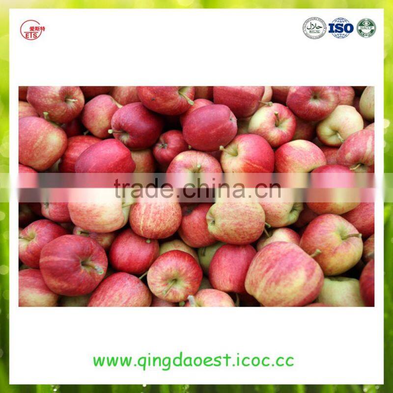 best price fresh cauliflower