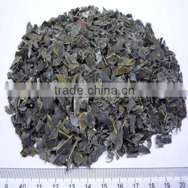 2016 Crushed dried laminaria, small cut kelp,laminaria cut