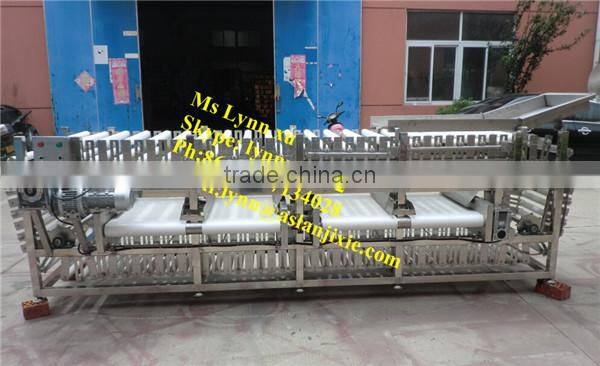 fruit classifier machine /roller onion grading machine