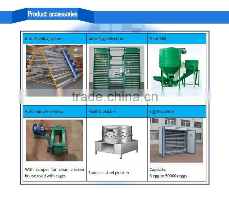 Hot !!! used poultry battery cages for sale