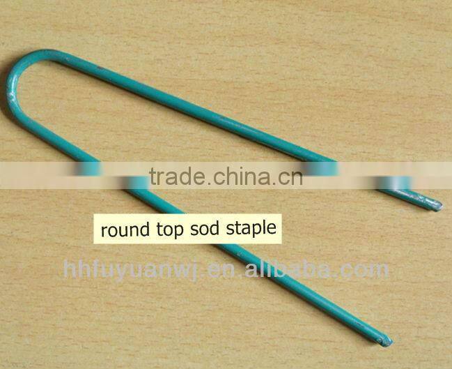 sod staple
