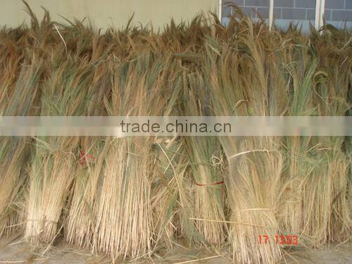Short handle flower broom wholesale