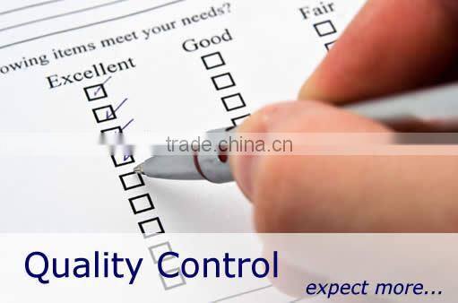 American 10x10 inch Portable Event Canopy Pop-up Folding Camping Tent