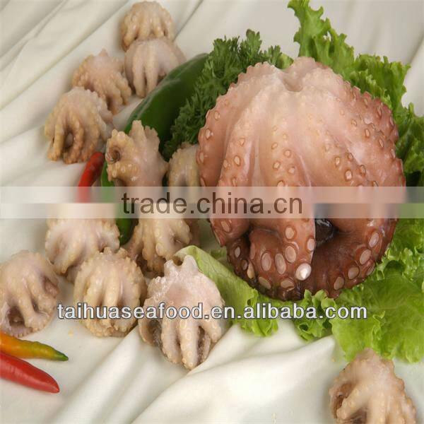 best sea frozen baby octopus iqf