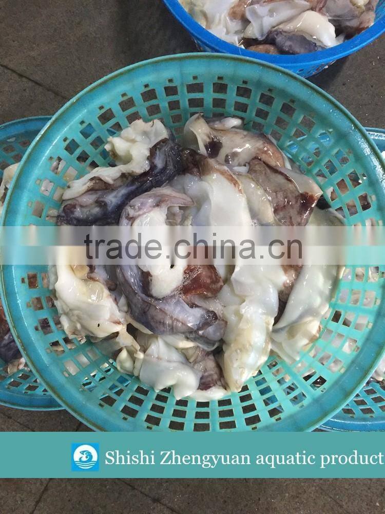 Frozen Giant Peru fillet squid neck Size 500+ on sale