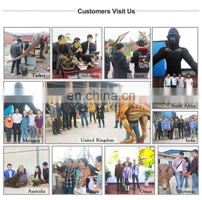 Kawah Cute Costume de Dinosaure Trex