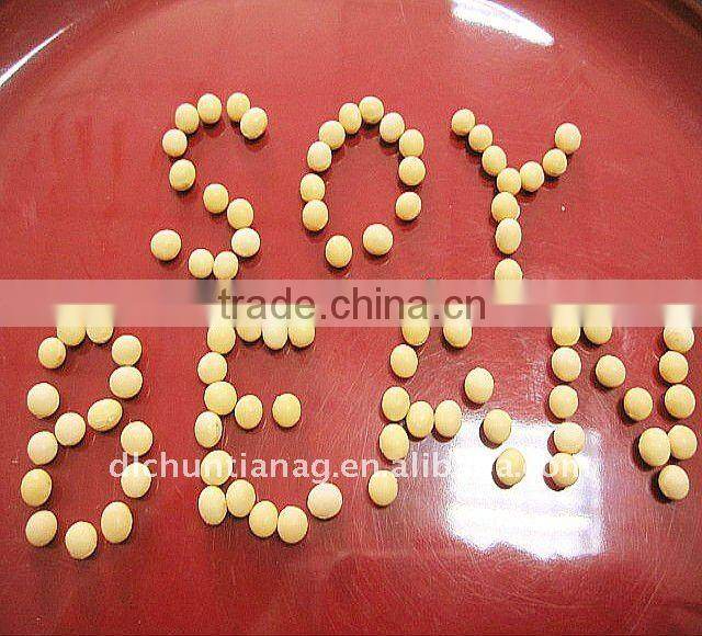 Chinese Non GMO Organic Soybeans