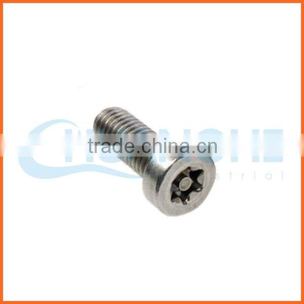 China supplier carbon steel anti-theft screw