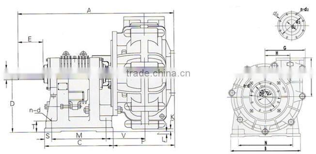 Washdown Slurry Pump