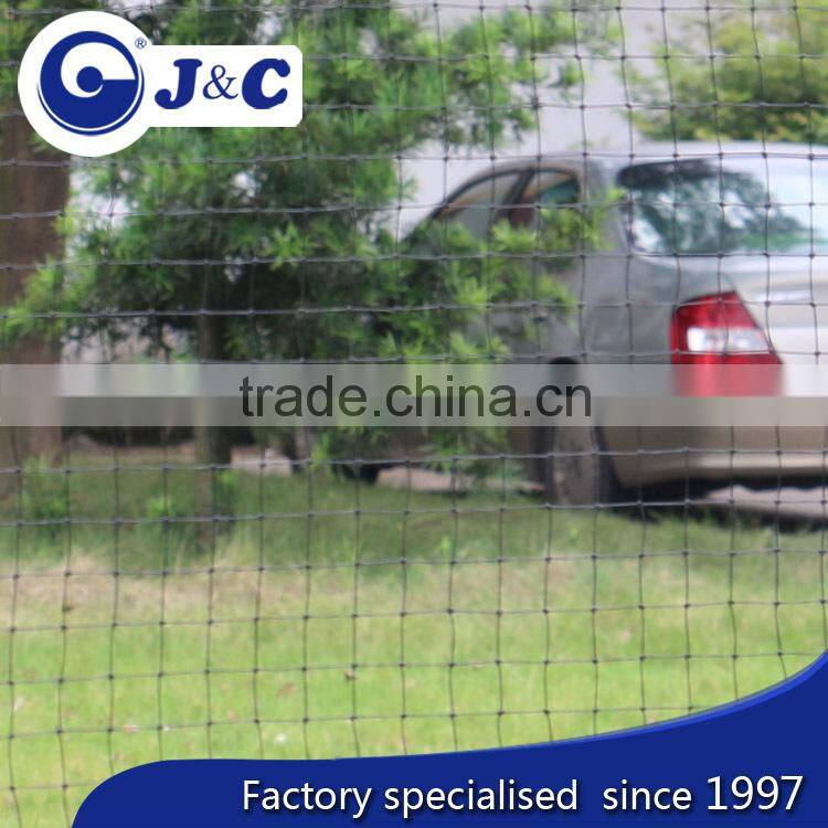 anti Bird protection netting use for vineyard, anti Bird protection net,PE anti bird netting