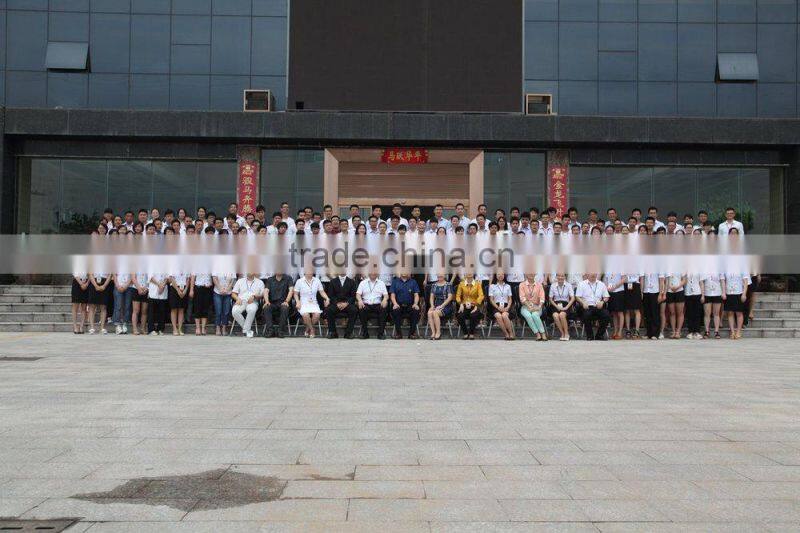 2015 Fashion Wholesale Lady Handbag Pu Elegance Designer Women Handbag