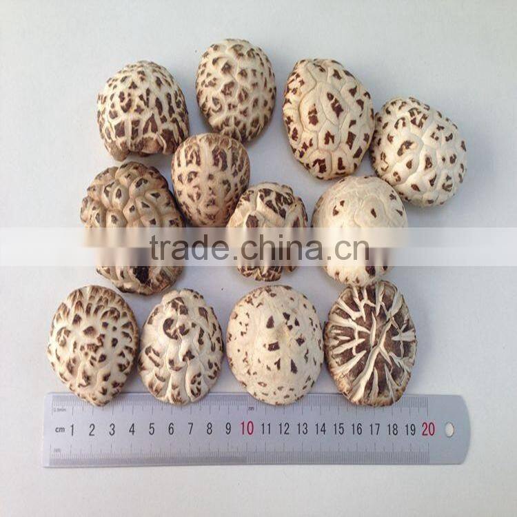 Chinese Dried Flower Shiitake Mushroom with Cap 3-4 CM